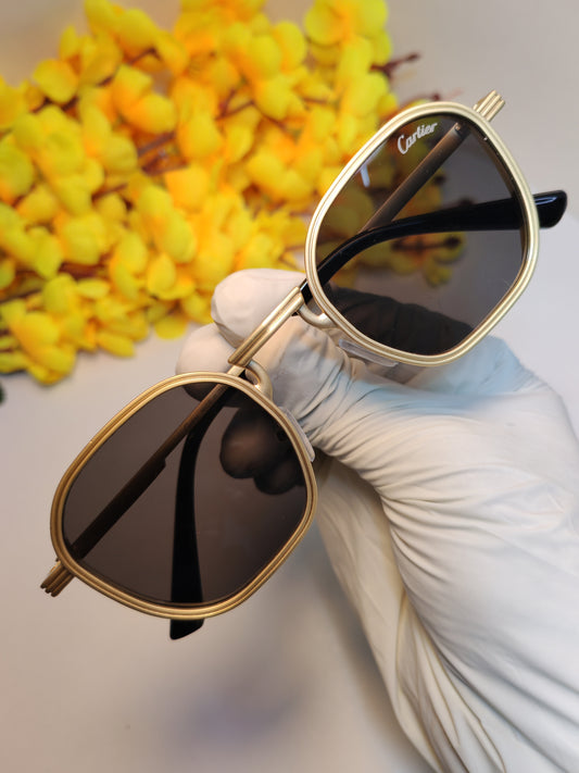 Cartier Rimless Premium Sunglass